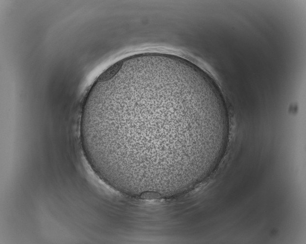 X0000112001504200908171407