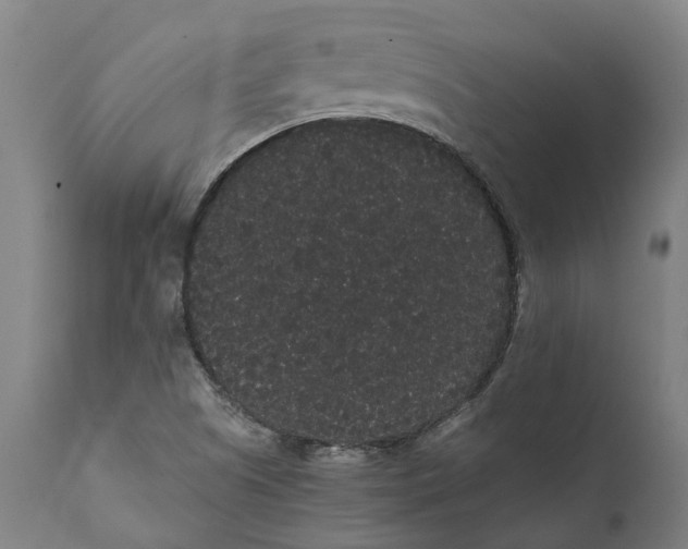 X0000112001505200908171407