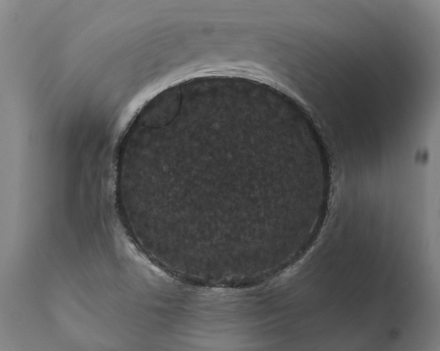 X0000112001506200908171407