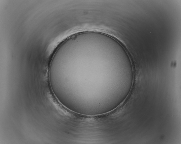 X0000112001507200908171407