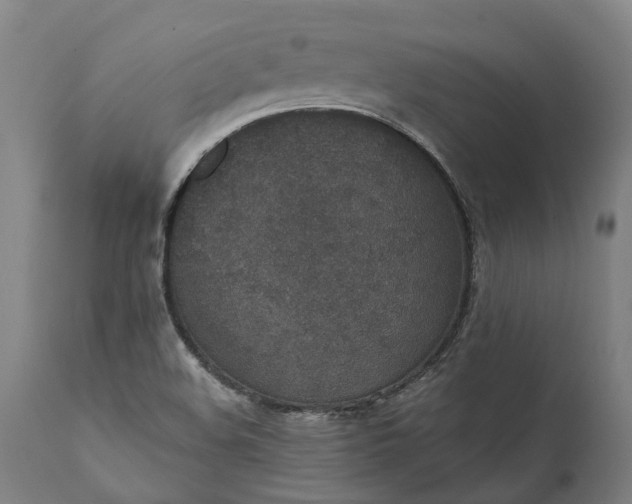 X0000112001508200908171407