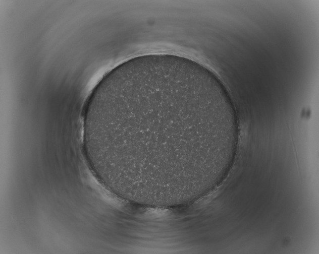 X0000112001509200908171407