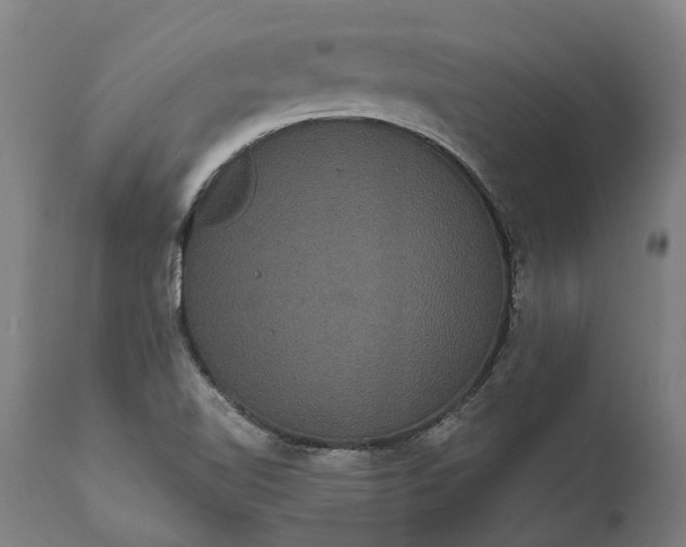 X0000112001510200908171407