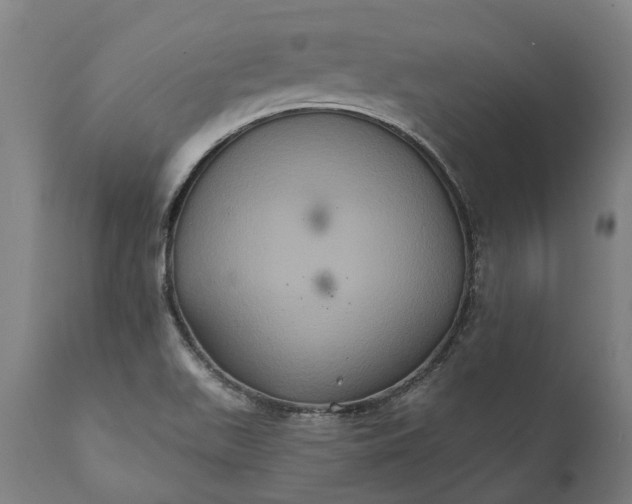 X0000112001511200908171407