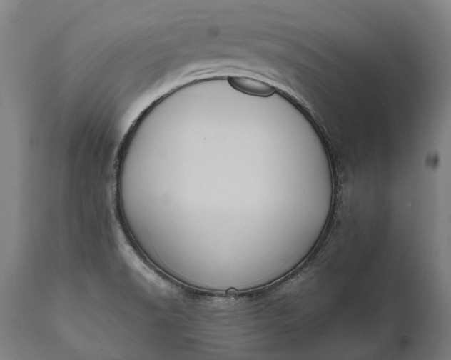 X0000112001518200908171407