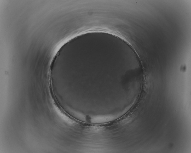 X0000112001519200908171407