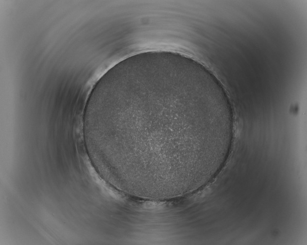 X0000112001521200908171407