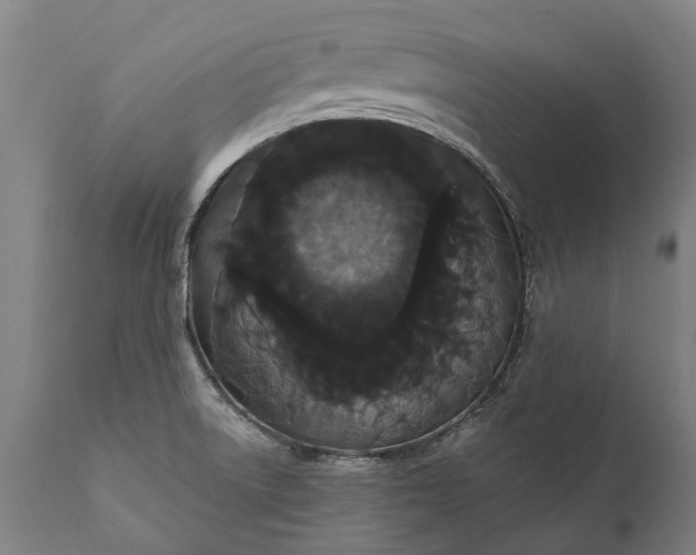 X0000112001522200908171407