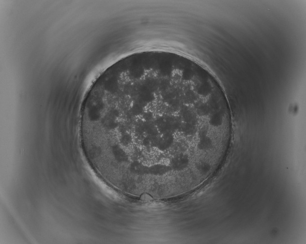 X0000112001525200908171407