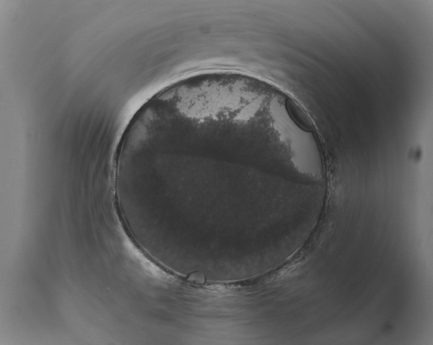 X0000112001527200908171407