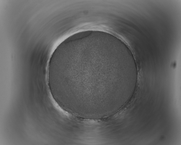 X0000112001528200908171407