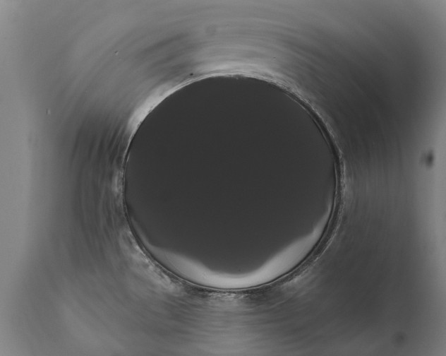 X0000112001529200908171407