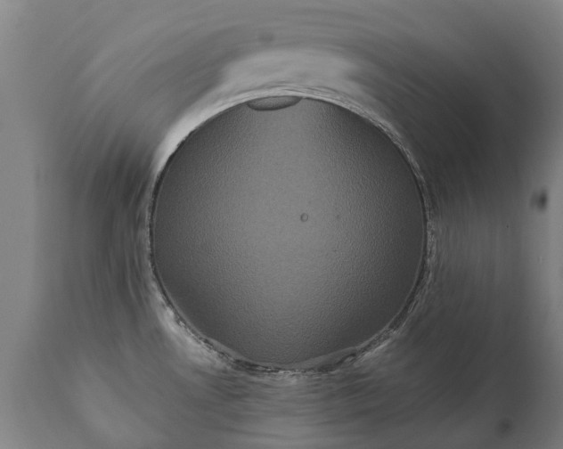 X0000112001530200908171407