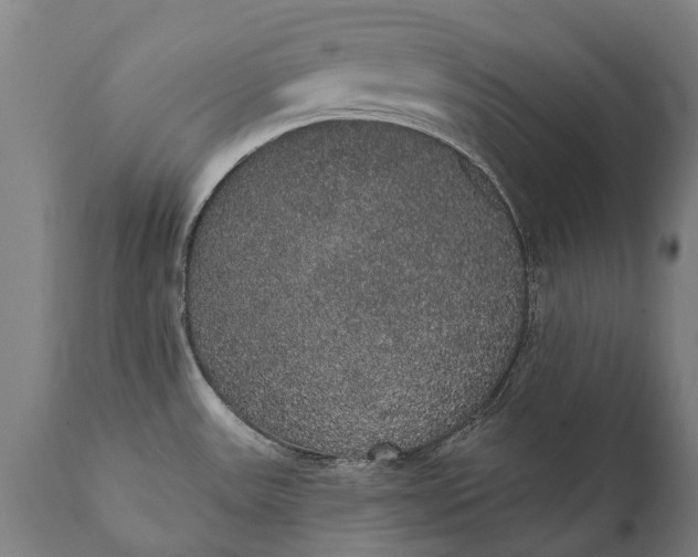 X0000112001531200908171407