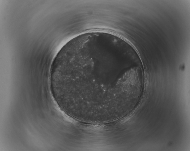 X0000112001533200908171407