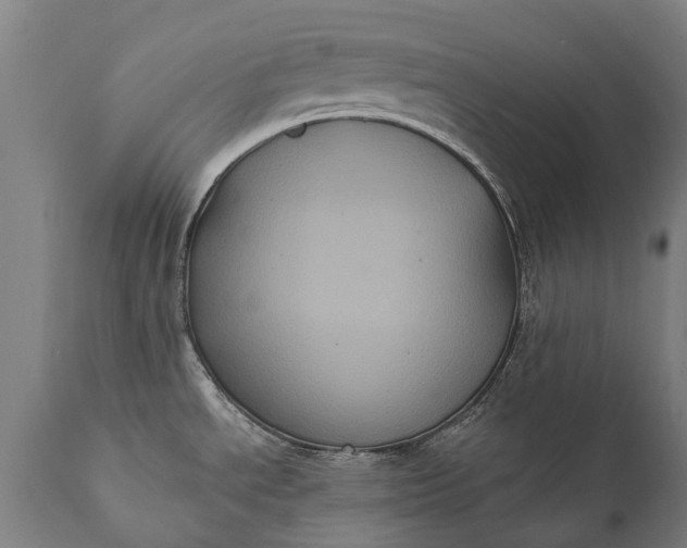 X0000112001534200908171407