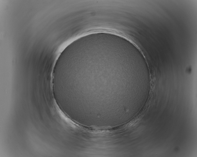 X0000112001535200908171407