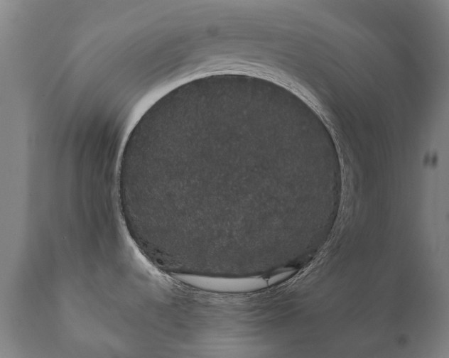 X0000112001536200908171407