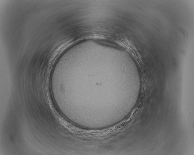 X0000112000001200908241443