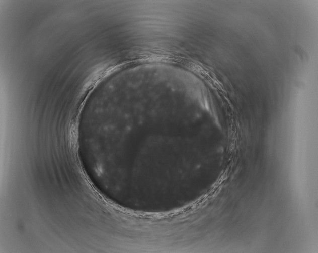 X0000112000002200908241443