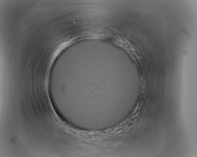 X0000112000003200908241443