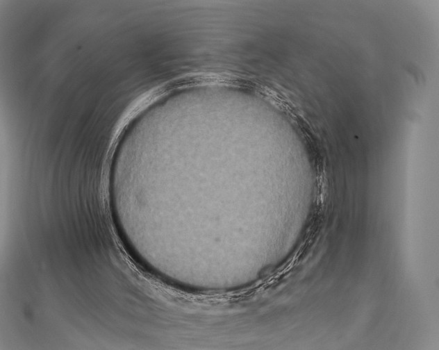 X0000112000004200908241443