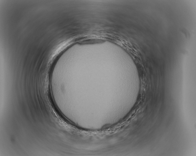 X0000112000005200908241443