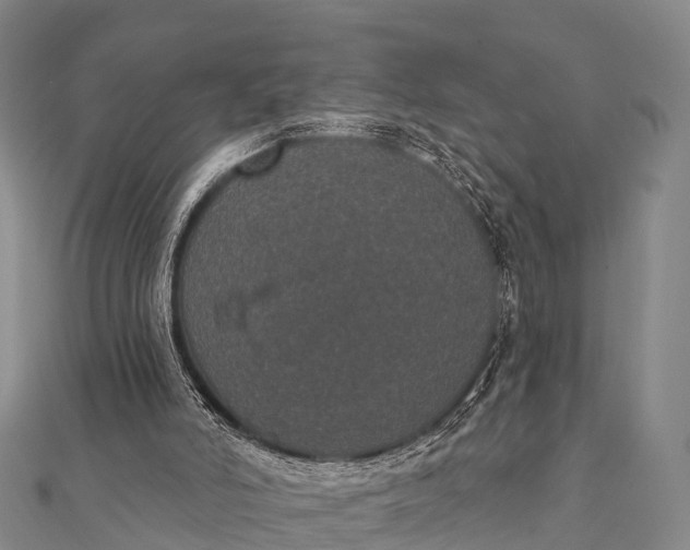 X0000112000006200908241443