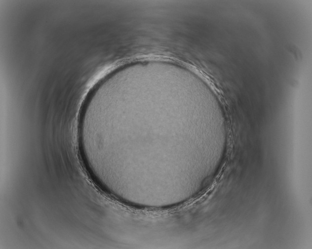 X0000112000008200908241443