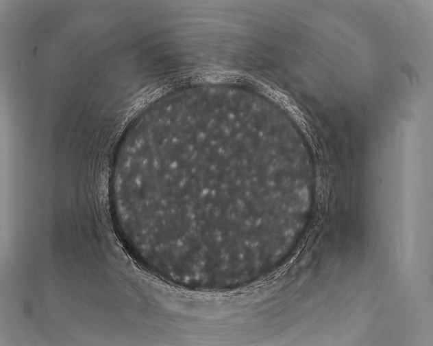 X0000112000010200908241443