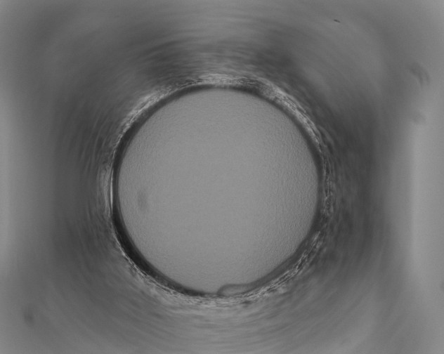 X0000112000011200908241443