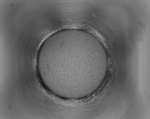 X0000112000012200908241443