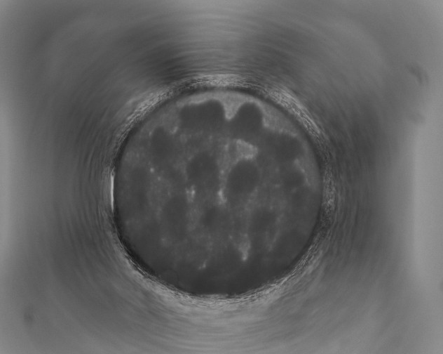 X0000112000014200908241443