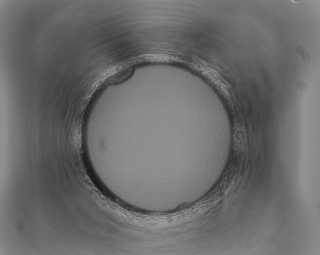 X0000112000015200908241443