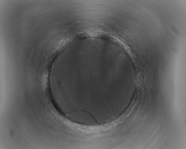 X0000112000018200908241443