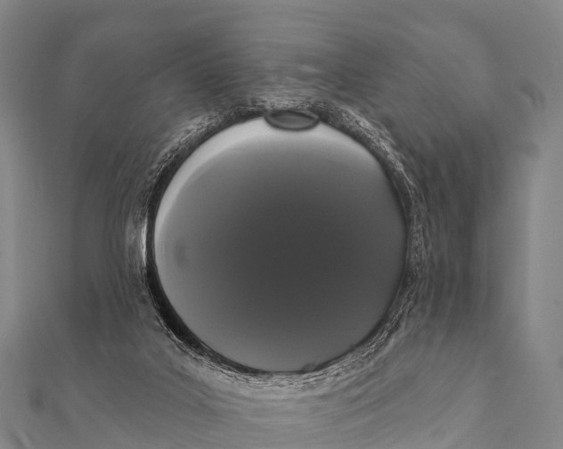 X0000112000019200908241443