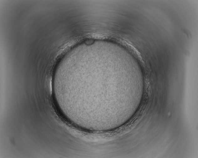 X0000112000020200908241443