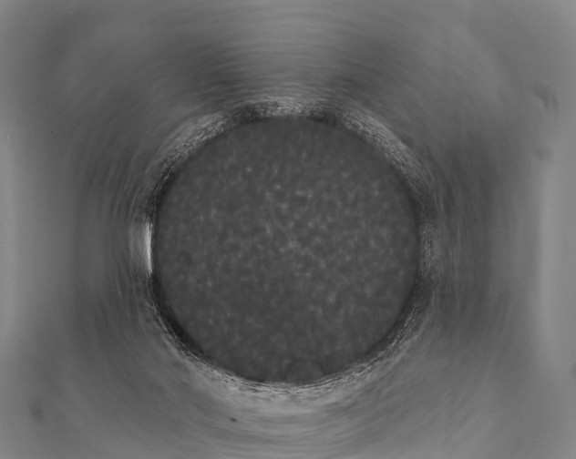 X0000112000022200908241443