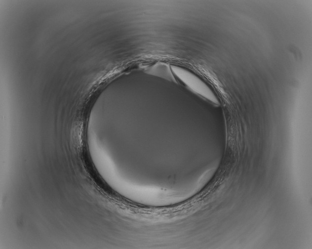 X0000112000023200908241443