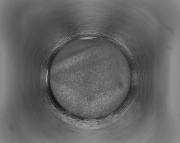 X0000112000024200908241443