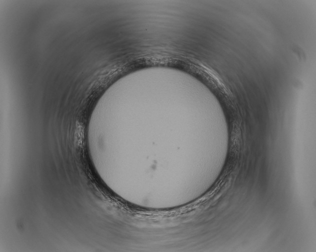 X0000112000025200908241443