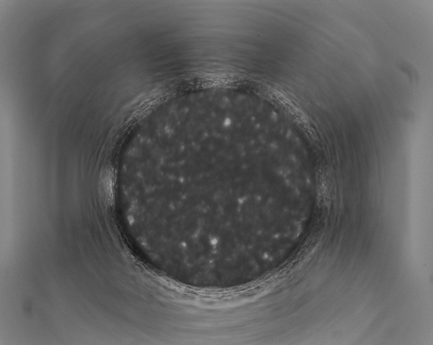 X0000112000026200908241443