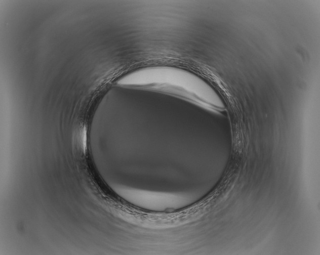 X0000112000027200908241443