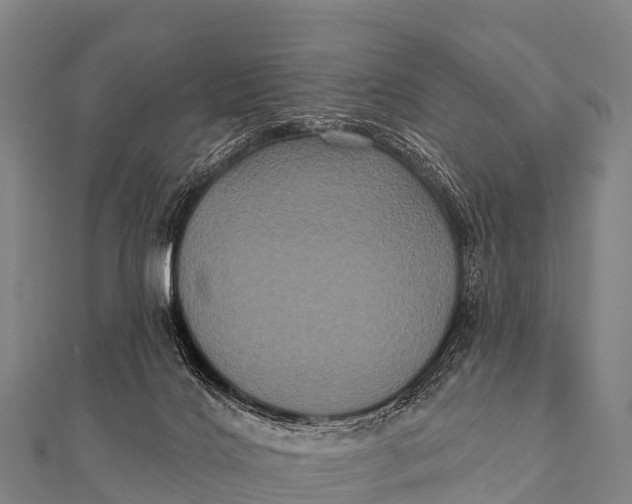 X0000112000028200908241443