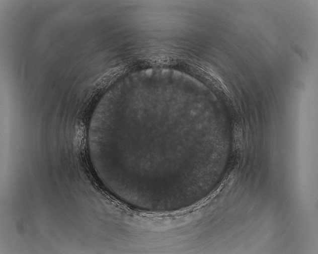 X0000112000029200908241443