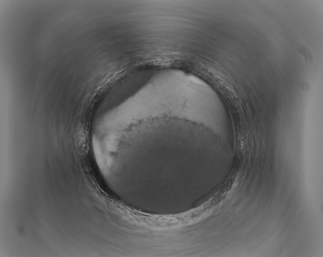 X0000112000031200908241443