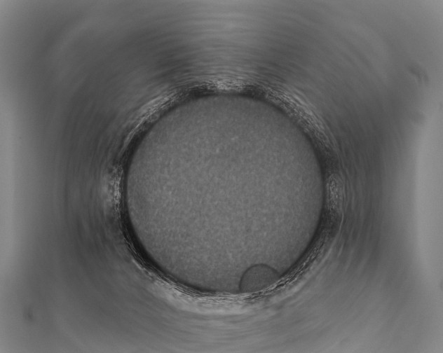 X0000112000032200908241443