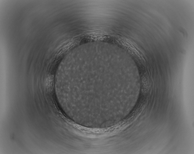 X0000112000034200908241442