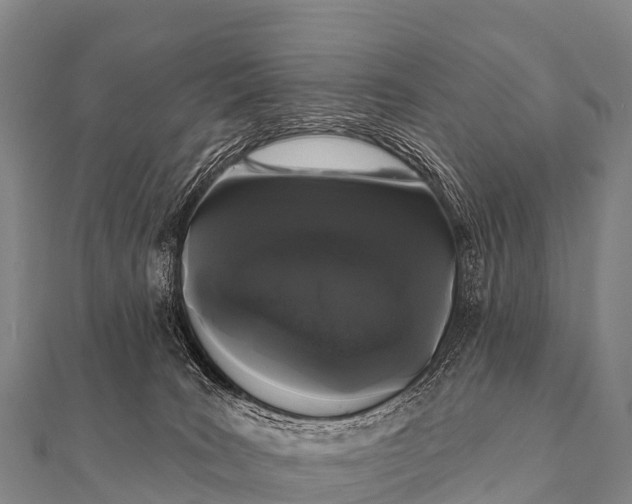 X0000112000035200908241442