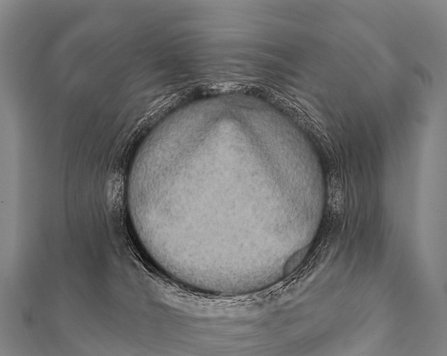 X0000112000036200908241442